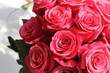 Fototapeta premium Blumenstrauß Pink Close Up