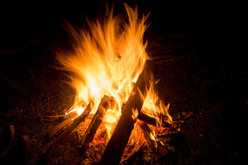 Fire flame in the night