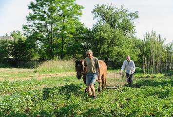 Farmers are plowing a land.