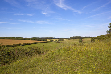 Fototapeta premium english landscape and wildflowers