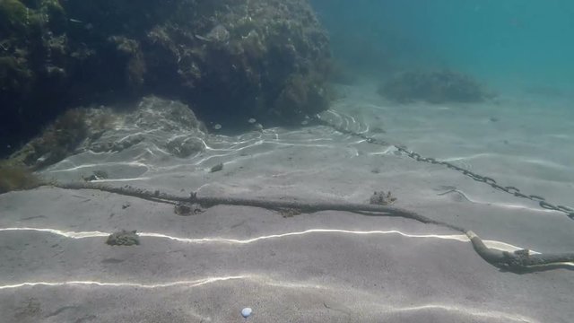 Footage of view under the water