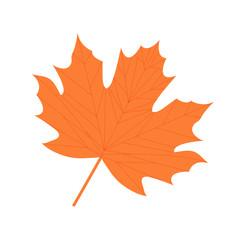 Maple leaf icon, flat, cartoon style. Isolated on white background. Vector illustration