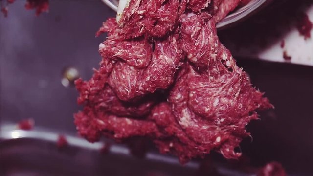 Industrial meat grinder. Process of grinding and processing meat in minced meat. Minced red chopped composition climbs out of meat grinder and we fall into metal large dishes.Meat shop in the factory.