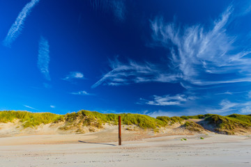 North Sea sand dunes in De Haan, Belgium at sunset