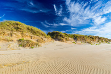 North Sea sand dunes in De Haan, Belgium at sunset