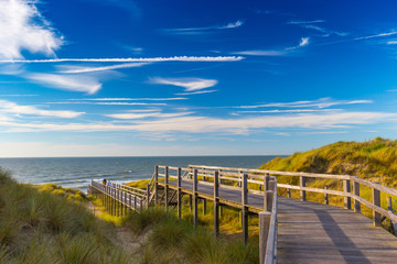 Wooden staircase and blue sky among dunes and high grass on North Sea coast in Belgium - 166259788