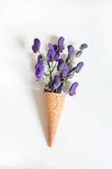 Purple flower in waffle cone on white background. Vertical.  Summer concept.