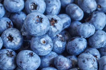 Close up picture of ripe and fresh blueberries, shallow depth of field.