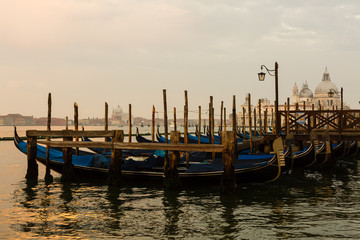 Gondolas of Venice in the morning light. Italy.