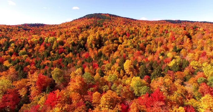 Brilliant Red and Orange Autumn Foliage in Maine Forest - Aerial Footage from Newry, Maine, USA
