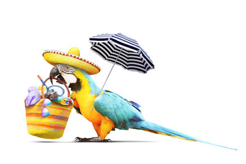 Papagei als Paradiesvogel am Strand freigestellt - Urlaub Konzept