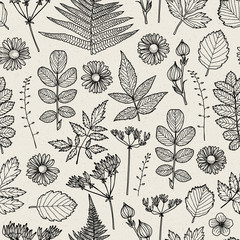 Seamless pattern with flowers, leaves and grass.. Can be used on packaging paper, fabric, background for different images, etc.