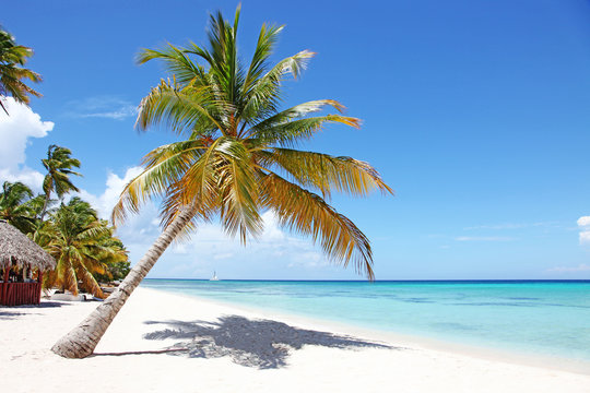 Südseestrand Bilder – Durchsuchen 10,089 Archivfotos, Vektorgrafiken und Videos | Adobe Stock