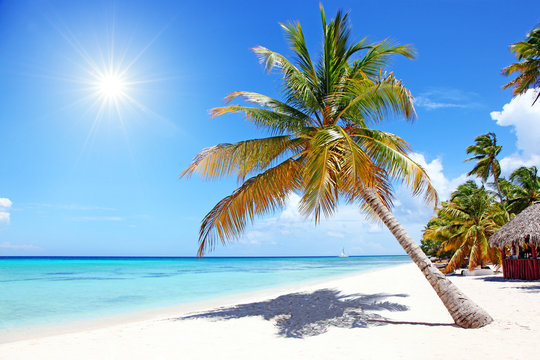 Sch&ouml;ner Strand im Paradies