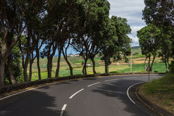 Fototapeta na wymiar Scenic road bend outside forest in Terceira island, Azores, Portugal