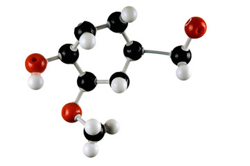 Molecular model of sucrose