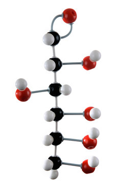 Molecular model of glucose