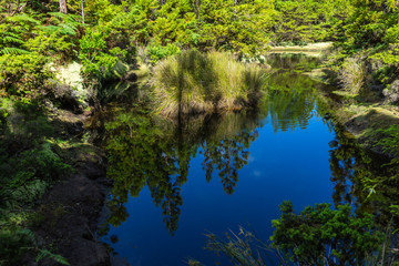 Beautiful small lake with trees reflected in blue waters, Terceira, Azores, Portugal