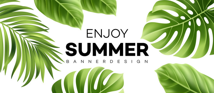 Summer sale banner with tropical plant. Vector illustration