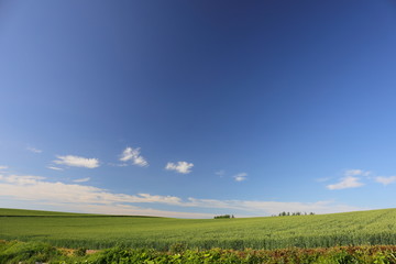 Obraz premium Landscape of Biei Hokkaido Japan