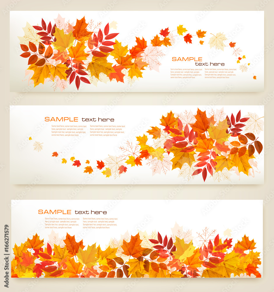 Poster set of abstract autumn banners with colorful leaves vector