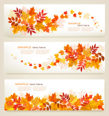 Obraz premium Set of abstract autumn banners with colorful leaves Vector