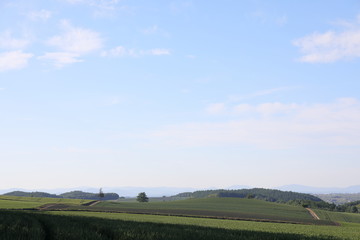 Obraz premium Landscape of Biei Hokkaido Japan