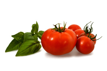 Fresh tomatoes and basil leaves isolated on white background