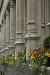 Fototapeta na wymiar Flowers and columns