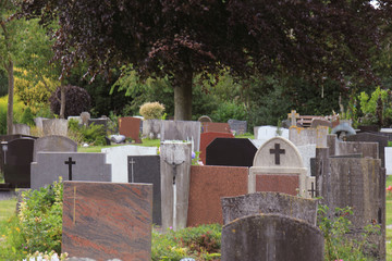 Tombstones on a cemetery