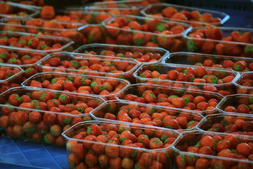 Strawberries on display