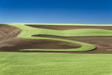 Obraz premium Cultivation patterns in the Palouse near Colfax, WA