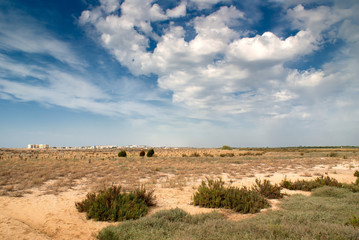 Nubes en las marismas de Huelva