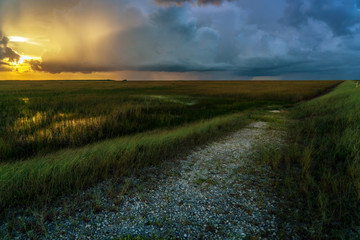 Path into the Field at Sunset