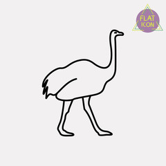 ostrich line icon