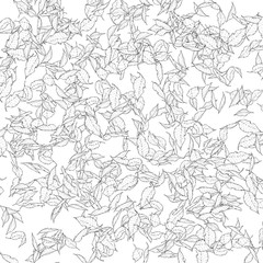 Fototapeta premium background leaves texture