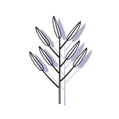 Obraz premium white background with watercolor silhouette of branch with leaves lanceolate