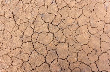 Crack soil texture background on dry season for global worming concept design
