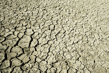 Cracked Earth Global Warming Background