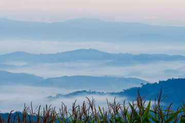 View point at Doi Sa-Ngo, Chiang Sean, Chiang Rai Province, Thailand.
