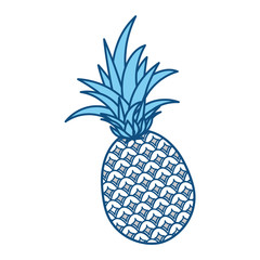 Obraz premium Pineapple delicious fruit