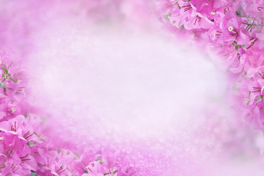 Fototapeta purple flower Bougainvillea frame on soft pink background with bokeh and glitter light,copy space 