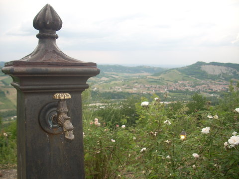 Vernasca