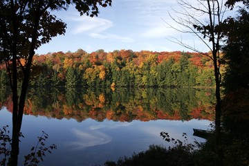 Autumn in Algonquin