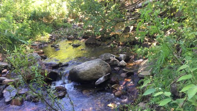 relaxing water flow in peaceful Vermont creek