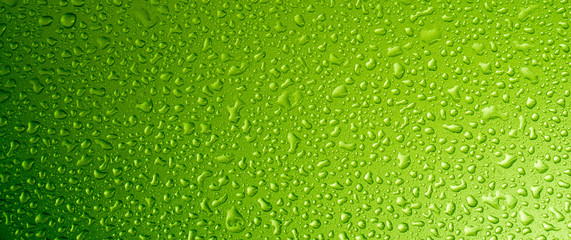 Water drops for background