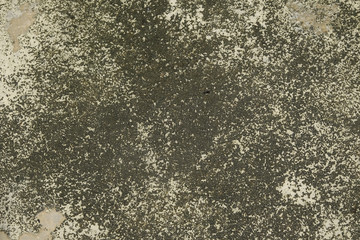 Texture of concrete, blank grey concrete backdrop,cement surface background