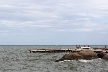 Obraz premium Port : 漁港・海・風景
