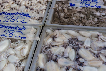 Squid : イカ・新鮮・市場