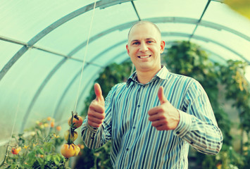 Smiling man in tomatos plant